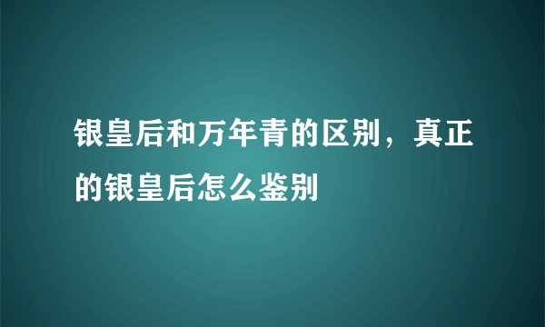 银皇后和万年青的区别，真正的银皇后怎么鉴别