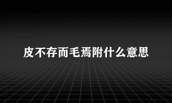 皮不存而毛焉附什么意思