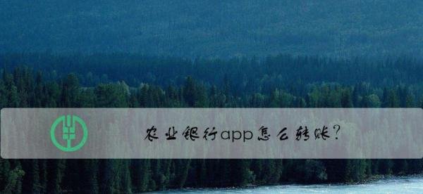 农业银行app怎么转账？