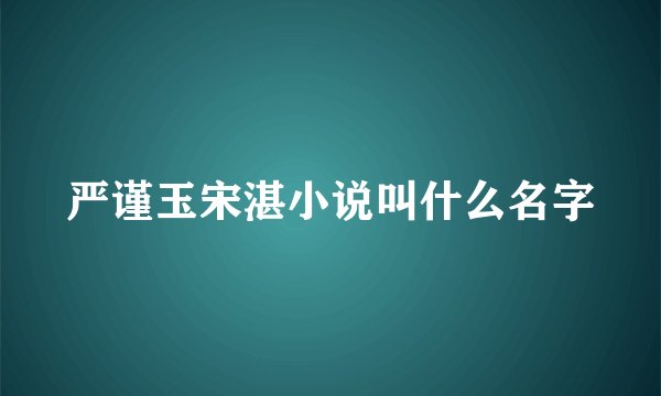 严谨玉宋湛小说叫什么名字