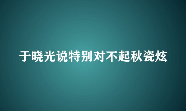 于晓光说特别对不起秋瓷炫