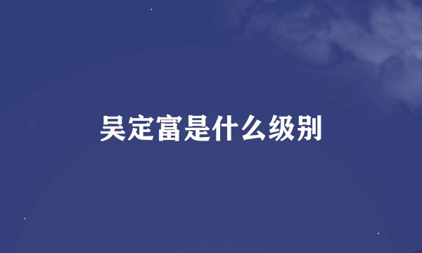 吴定富是什么级别