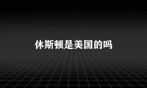休斯顿是美国的吗