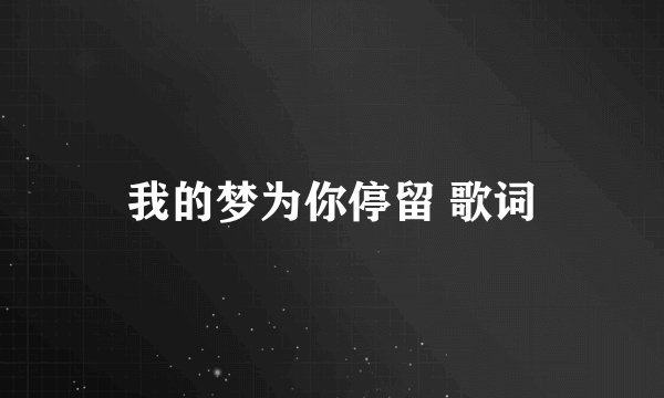 我的梦为你停留 歌词