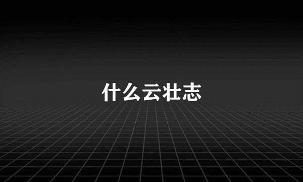 什么云壮志