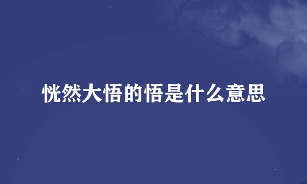 恍然大悟的悟是什么意思