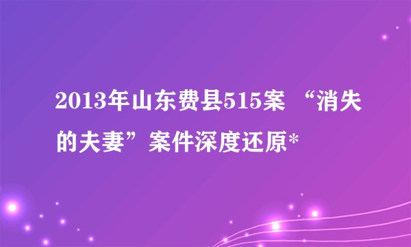 2013年山东费县515案 “消失的夫妻”案件深度还原*
