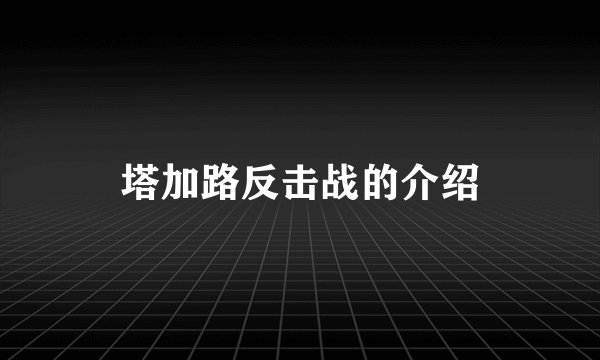 塔加路反击战的介绍