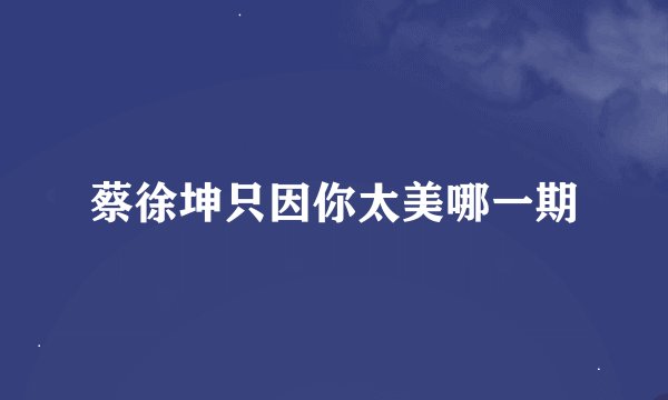 蔡徐坤只因你太美哪一期