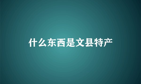 什么东西是文县特产
