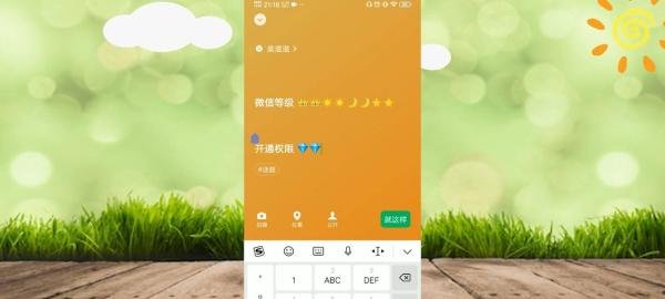 微信怎么看个人等级