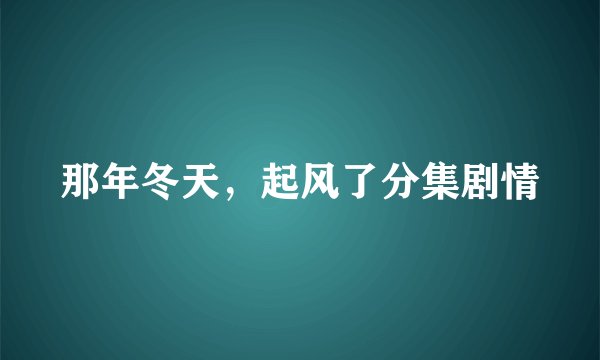 那年冬天，起风了分集剧情