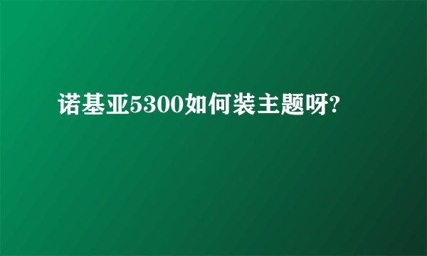 诺基亚5300如何装主题呀?