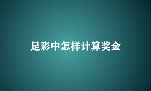 足彩中怎样计算奖金