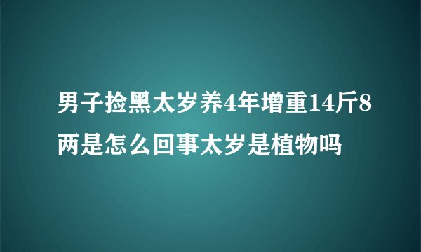 男子捡黑太岁养4年增重14斤8两是怎么回事太岁是植物吗