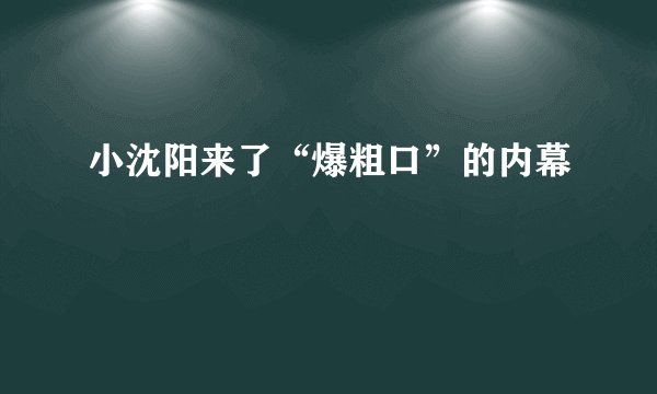 小沈阳来了“爆粗口”的内幕