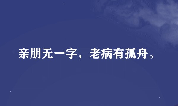 亲朋无一字，老病有孤舟。