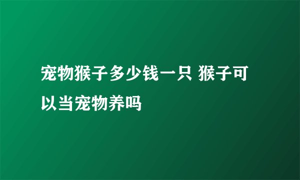 宠物猴子多少钱一只 猴子可以当宠物养吗
