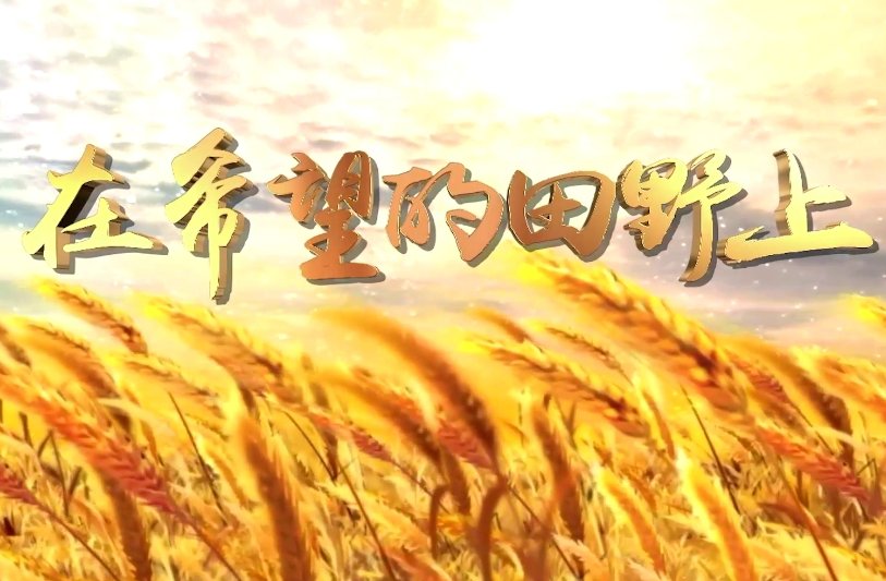 在希望的田野歌曲歌词