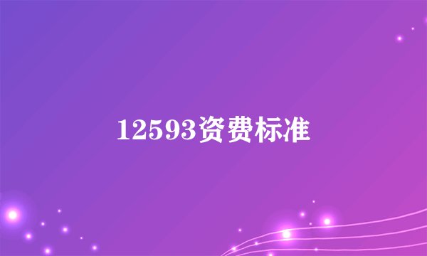 12593资费标准