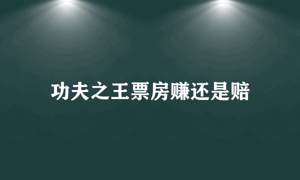 功夫之王票房赚还是赔