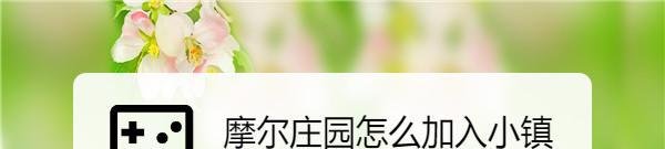 摩尔庄园怎么加入小镇
