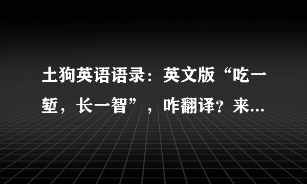 土狗英语语录：英文版“吃一堑，长一智”，咋翻译？来看大佬翻译
