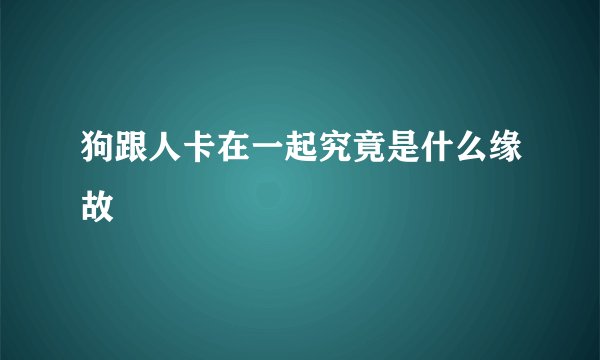 狗跟人卡在一起究竟是什么缘故