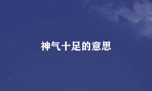 神气十足的意思