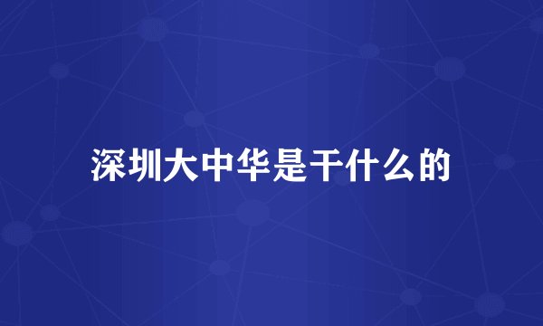 深圳大中华是干什么的