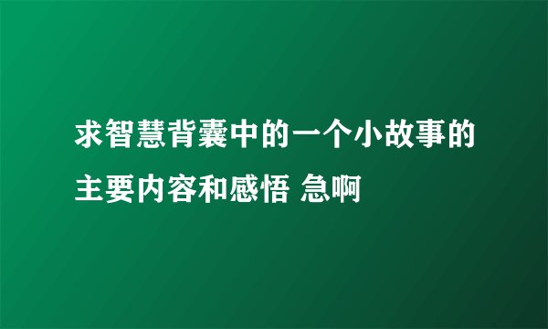求智慧背囊中的一个小故事的主要内容和感悟 急啊