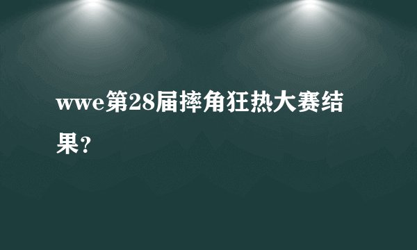 wwe第28届摔角狂热大赛结果？