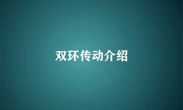 双环传动介绍