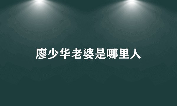 廖少华老婆是哪里人