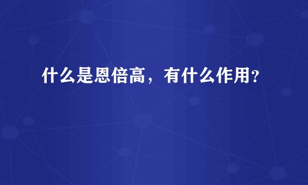 什么是恩倍高，有什么作用？