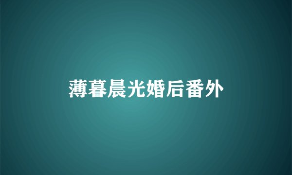 薄暮晨光婚后番外