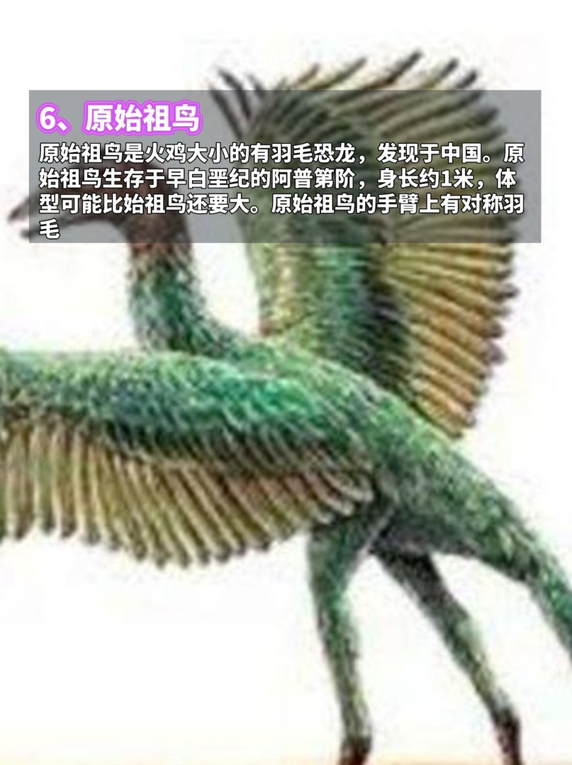 地球上最古老的7种动物,看完脊背发凉