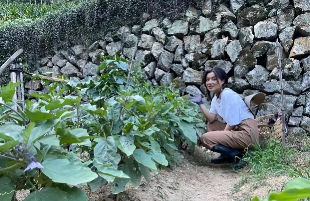 95后女孩休学后进山当农民,如何看待这种人生选择呢?