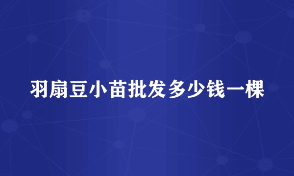 羽扇豆小苗批发多少钱一棵