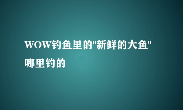 WOW钓鱼里的