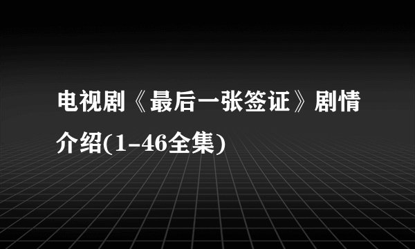电视剧《最后一张签证》剧情介绍(1-46全集)