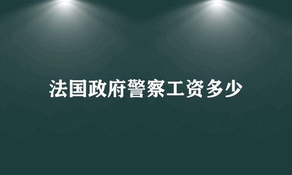 法国政府警察工资多少