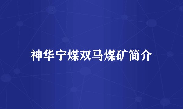 神华宁煤双马煤矿简介
