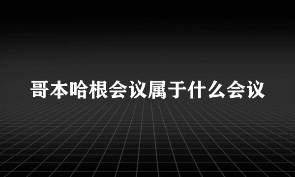 哥本哈根会议属于什么会议