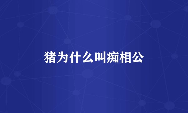 猪为什么叫痴相公