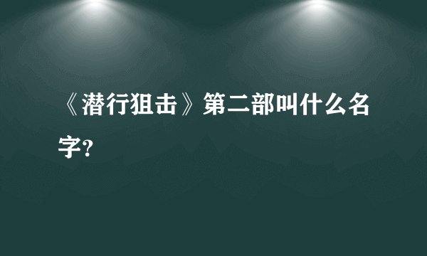 《潜行狙击》第二部叫什么名字？