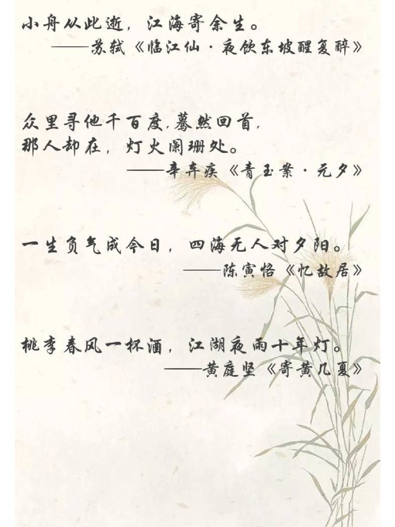 人间绝句:沉醉其中
