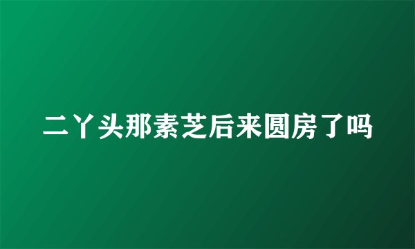 二丫头那素芝后来圆房了吗