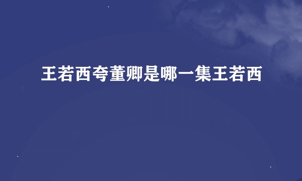 王若西夸董卿是哪一集王若西