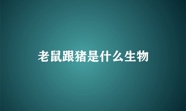 老鼠跟猪是什么生物
